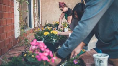 People planting flowers together in a community garden
